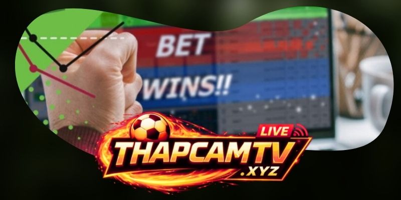 Những yếu tố đặc biệt tạo nên sức hút của soi kèo tipster