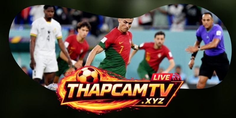 Tổng hợp dự đoán kèo trận Bồ Đào Nha vs Uzbekistan ngày 24/06