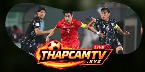 Dự Đoán Trận Botafogo SP Vs CRB (AL) 06h00 01/07