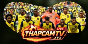 Dự Đoán Trận Ecuador Vs Curacao 07h00 21/06