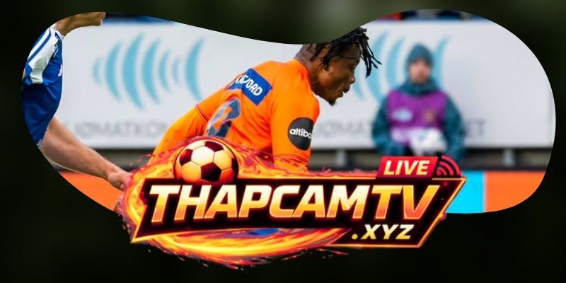 Phân tích phong độ Aalesund FK vs Viking qua bài test Color Line