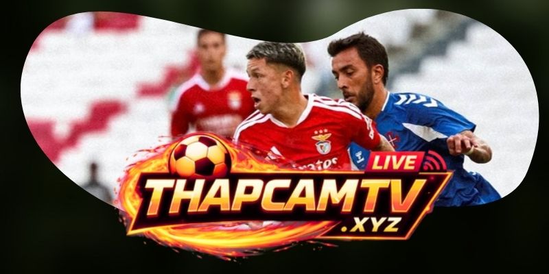 Dự Đoán Trận Benfica Vs St. Gallen 02h00 31/07