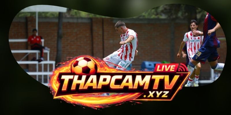 Phân tích phong độ Necaxa vs Monterrey qua lăng kính chuyển trạng thái