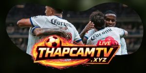 Dự Đoán Trận Toluca Vs Necaxa 08h00 03/08