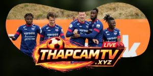 Dự Đoán Trận Vestri Vs Qarabag 03h00 17/07