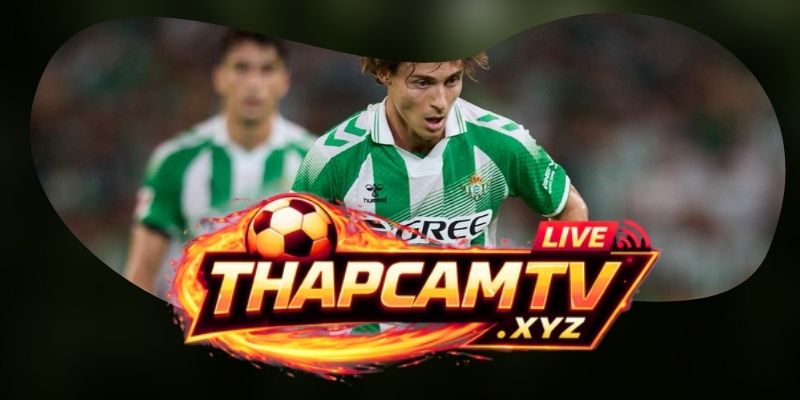 Tổng hợp dự đoán kèo trận LASK Linz vs Celtic F.C. ngày 26/08: ưu tiên động lực chủ nhà