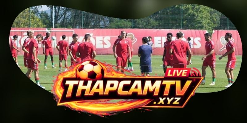 Phân tích phong độ Maritimo vs Casa Pia AC qua hai tuyến
