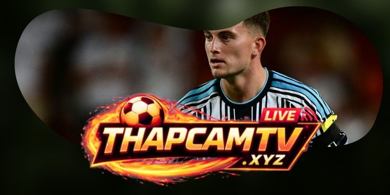 Phân tích phong độ Newcastle United vs Liverpool từ độ chắc hàng thủ và tốc độ chuyển trạng thái