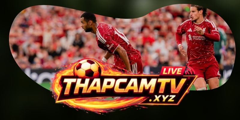 Tổng hợp dự đoán kèo Newcastle United vs Liverpool ngày 23/08 theo cửa khách